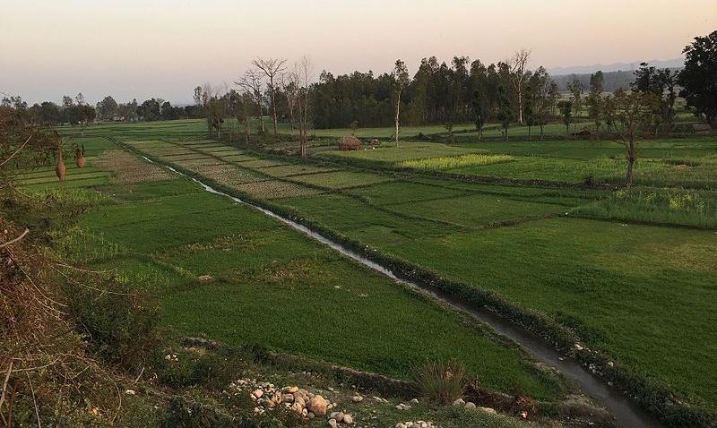 Arable fields and irrigation canal in the Khadar of the Indo-Gangetic Plain