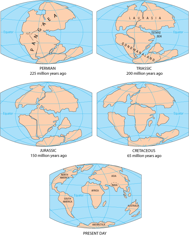 Break-up of Pangaea and continental drift to the present