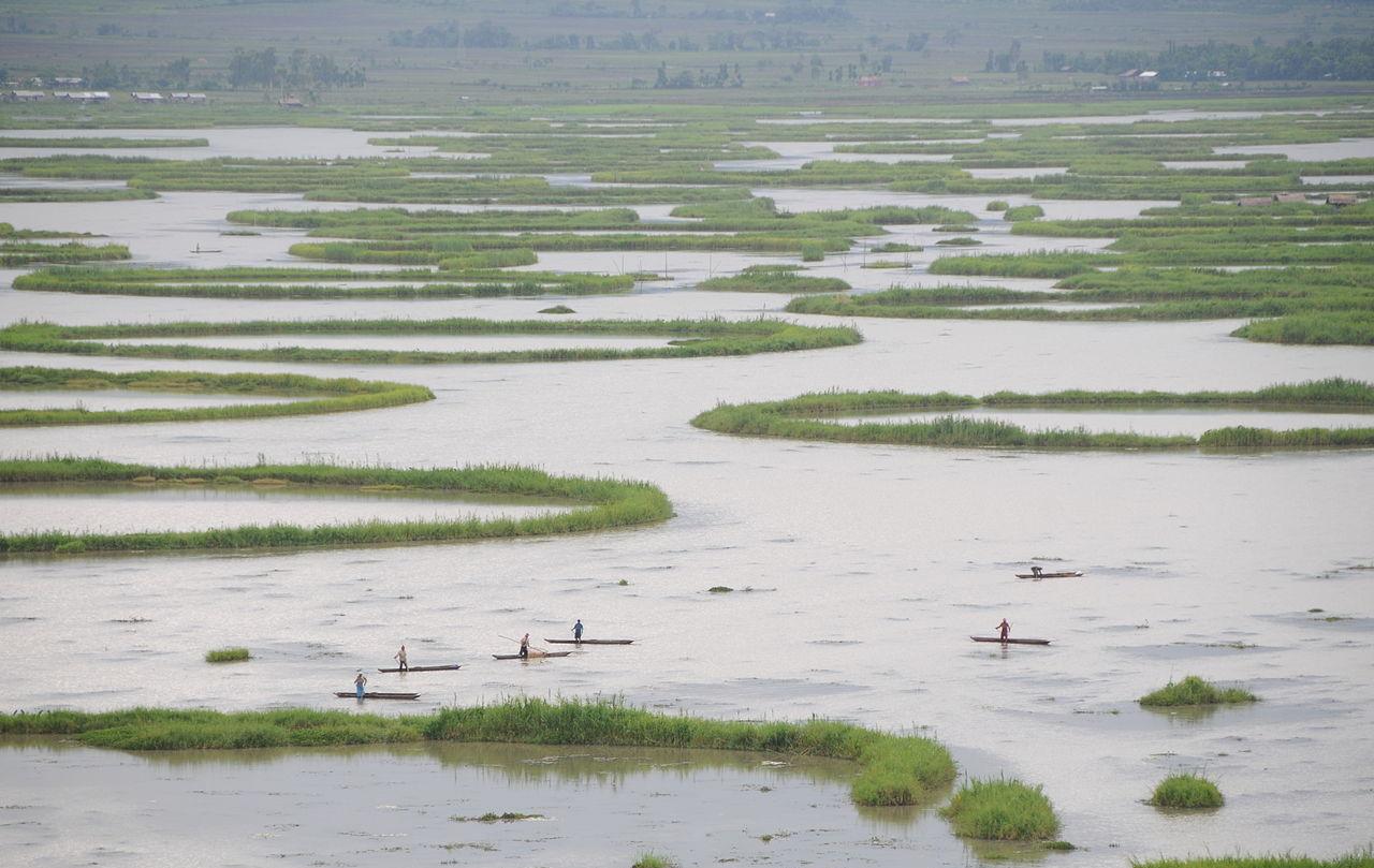 Fishing boats in Loktak Pat, a large lake in the Imphal Valley