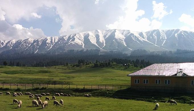 The snowy peaks of the Pir Panjal