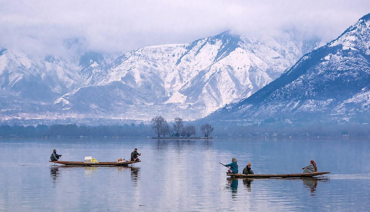 Dal Lake in Srinagar. Four main Char Chinars (islands with trees) lie in the middle of the lake.