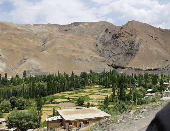 Farmland in the Indus valley