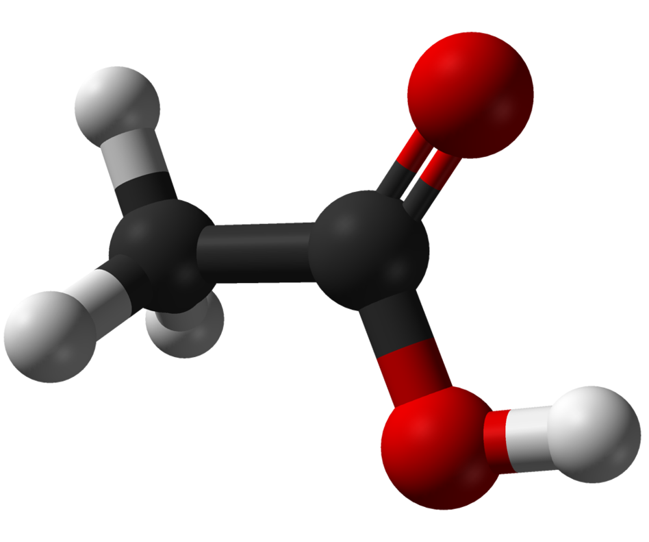 Model of acetic acid, a carboxylic acid