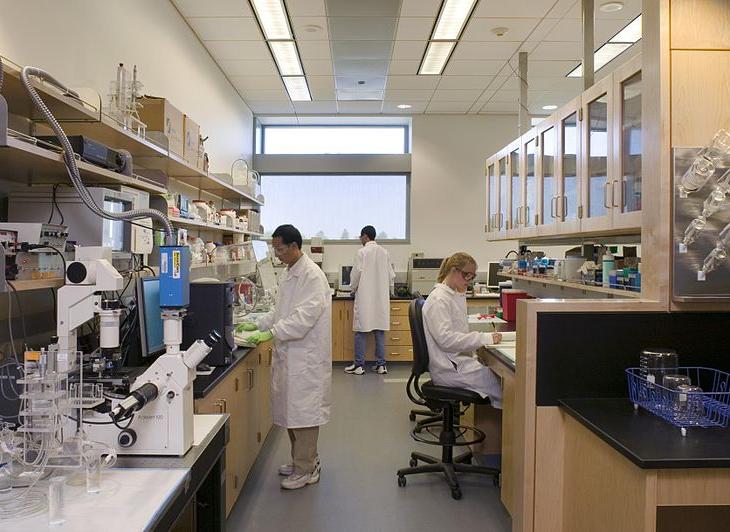 Scientists synthesize medicines in a biomedical lab