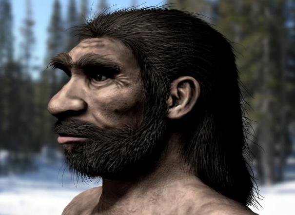 An artist's impression of what Homo longi (a Denisovan) looked like