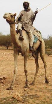 Janjaweed fighter, pictured in 2004