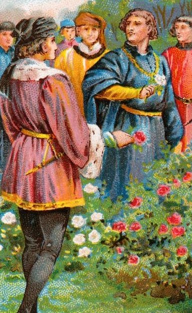 Plucking the red and white roses