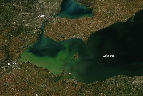 Satellite image of Lake Erie showing an algal bloom caused by run-off of fertilizer
