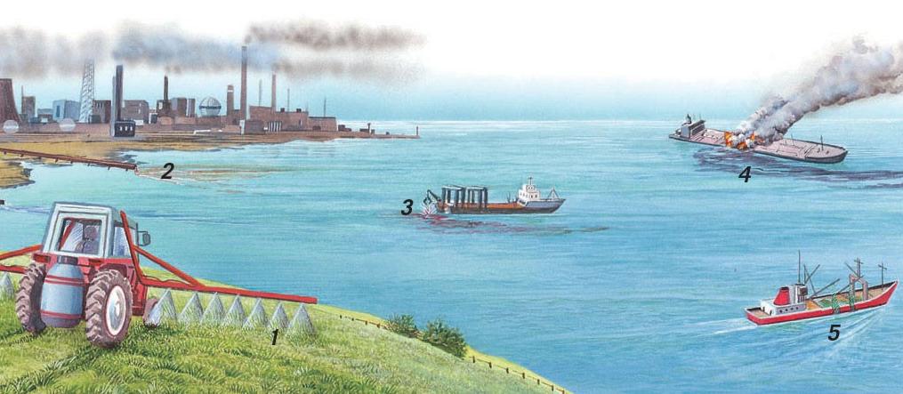 Sources of marine pollution, including land-based activities