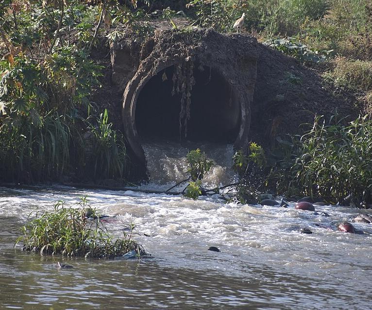 Untreated sewage is released directly into a river near Pune.