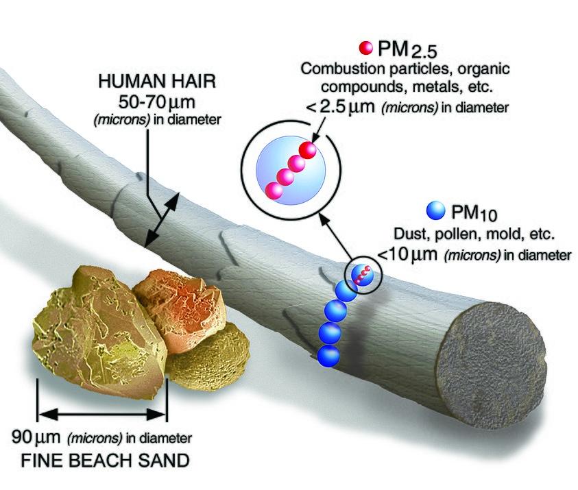 Particulates compared in size to hair and sand
