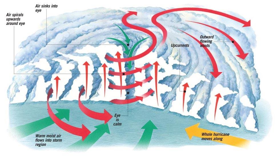 A cross-section through a tropical cyclone (called a hurricane in the Atlantic or a typhoon in the Pacific) showing the patterns of airflow
