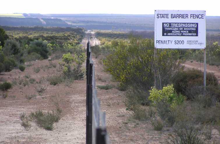 Rabbit-proof State Barrier Fence, Western Australia