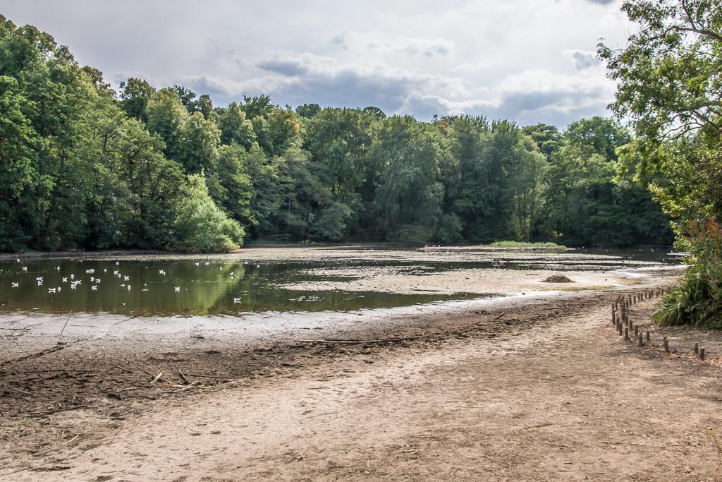 The dried-out bed of a pond in a drought, 2022