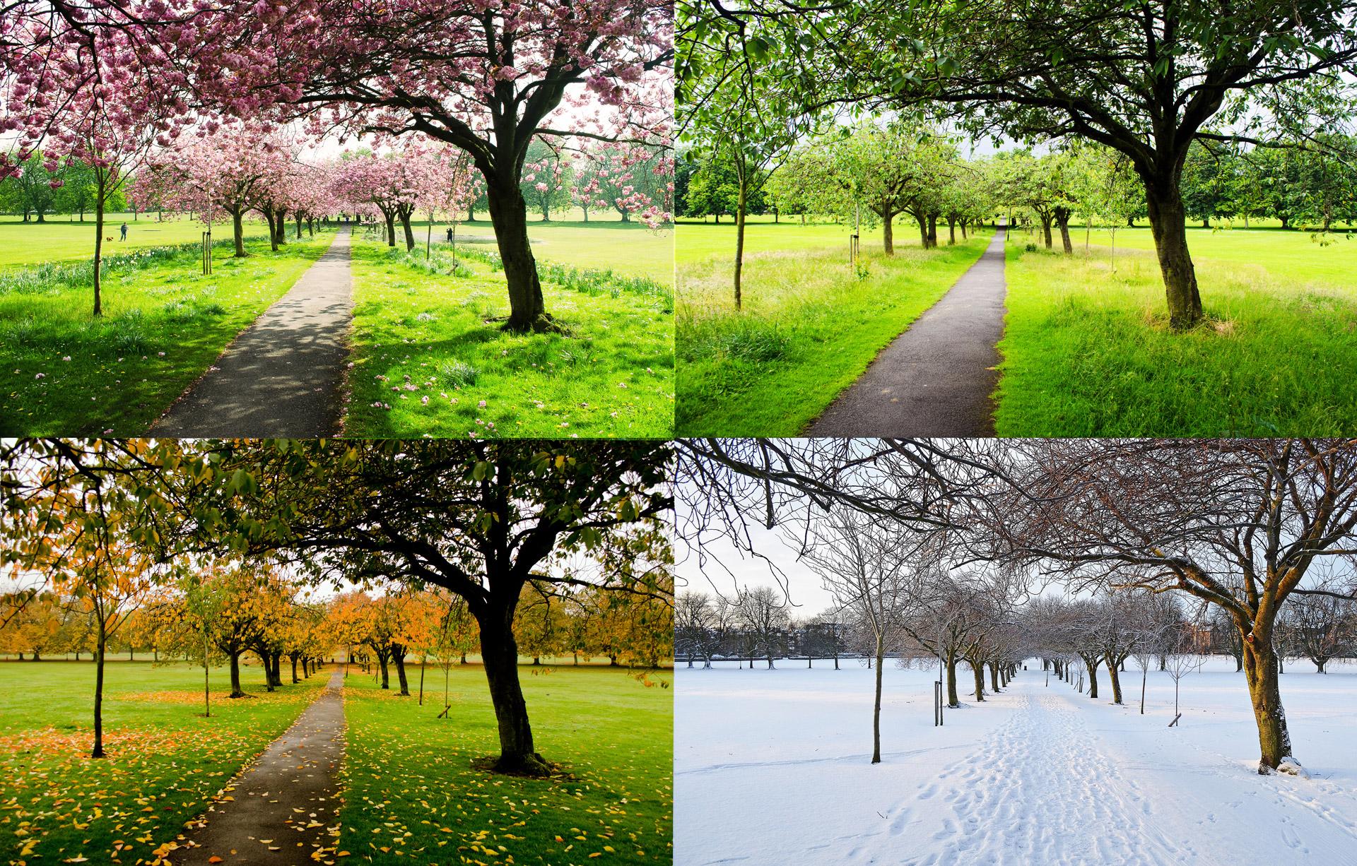 The same view of a park in Harrogate, North Yorkshire, taken in all four seasons