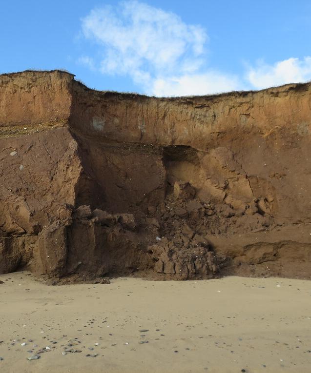 Boulder clay cliff, being rapidly eroded
