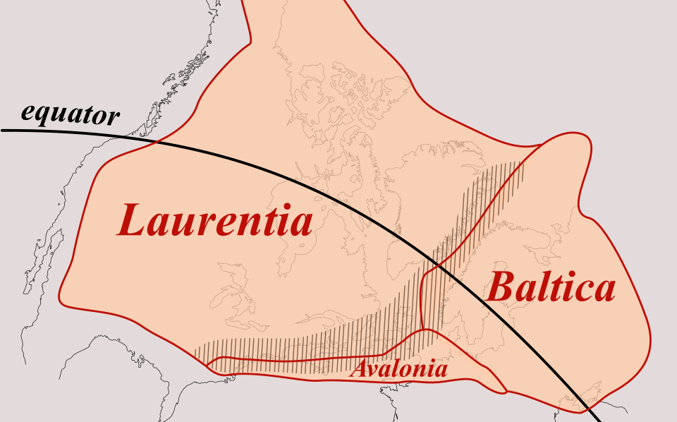 A map of the ancient continent of Euramerica (Laurussia) around 400 million years ago, in the Devonian Period