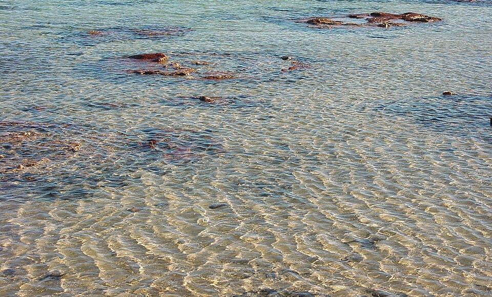 Shallow seas: sediments build up on the seabed