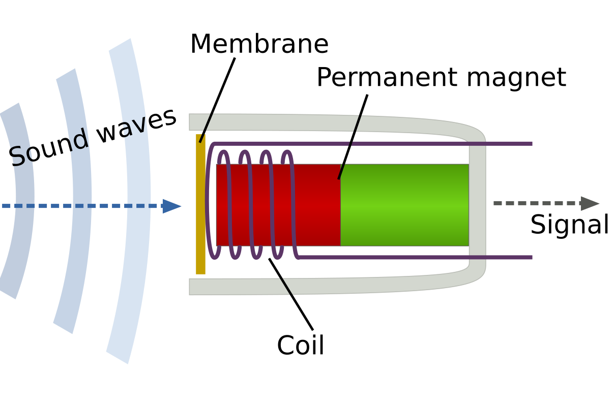 Diagram of how a dynamic microphone works