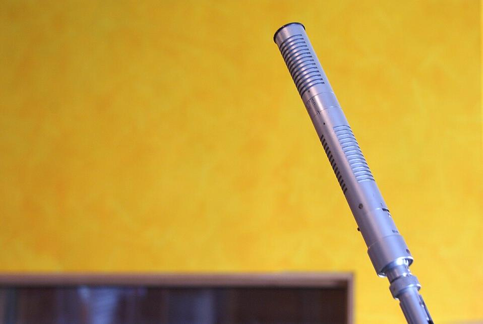 Shotgun microphone