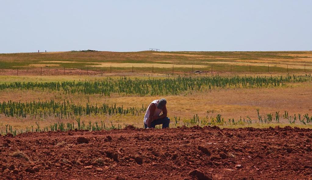 Parched farmland in Oklahoma, USA