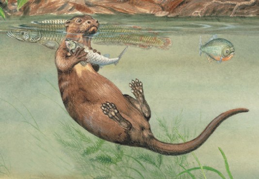 Giant otter