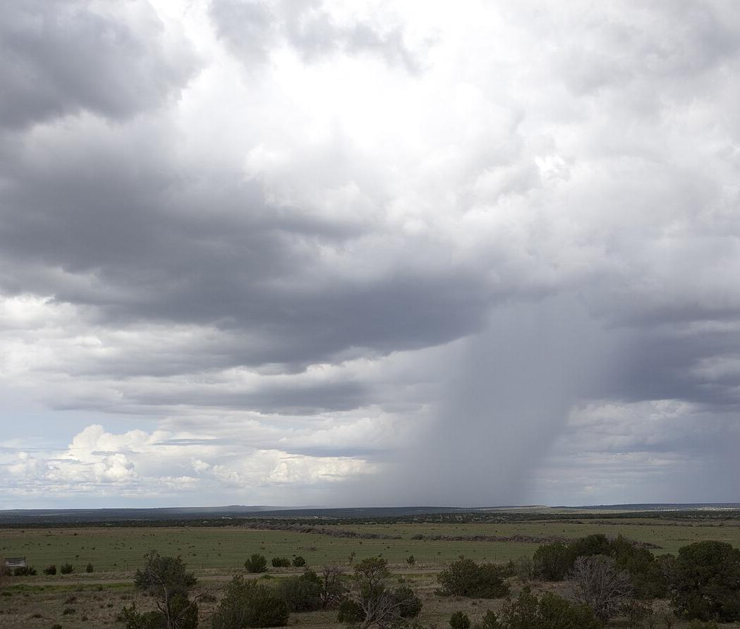 Rains from the North American monsoon in New Mexico