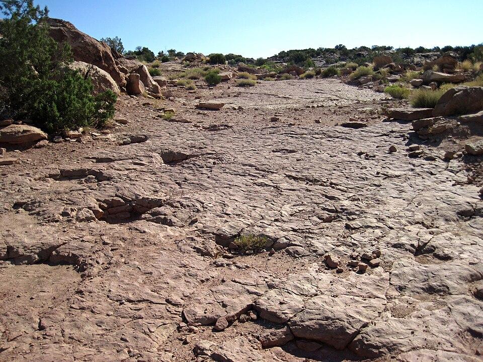 Dinosaur footprints in Morrison Formation rock