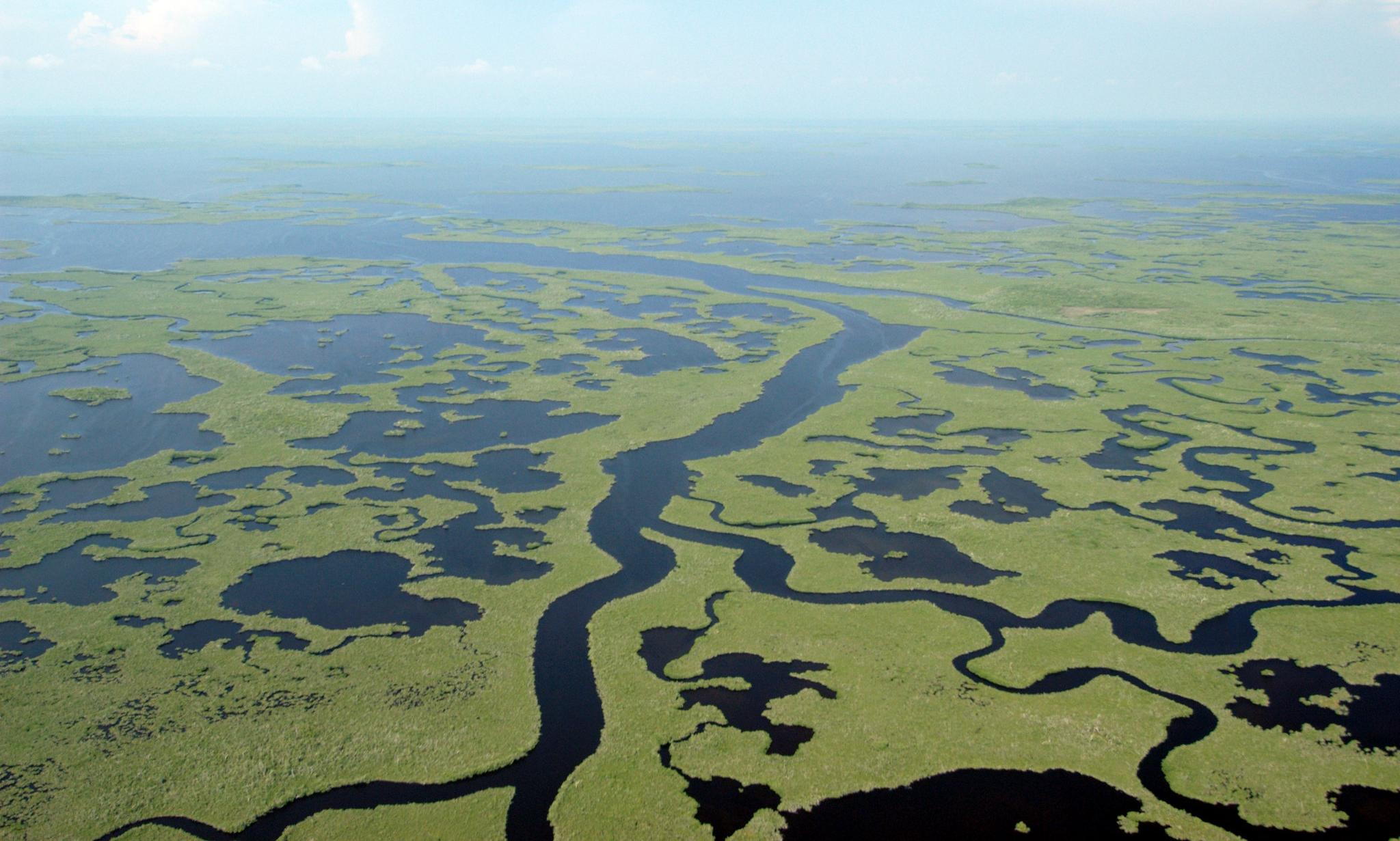 Aerial view of Lane River in the Everglades, Florida
