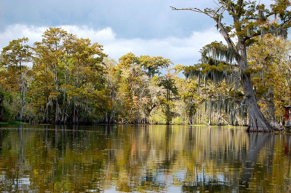 Bayou Corne, Assumption Parish, Louisiana