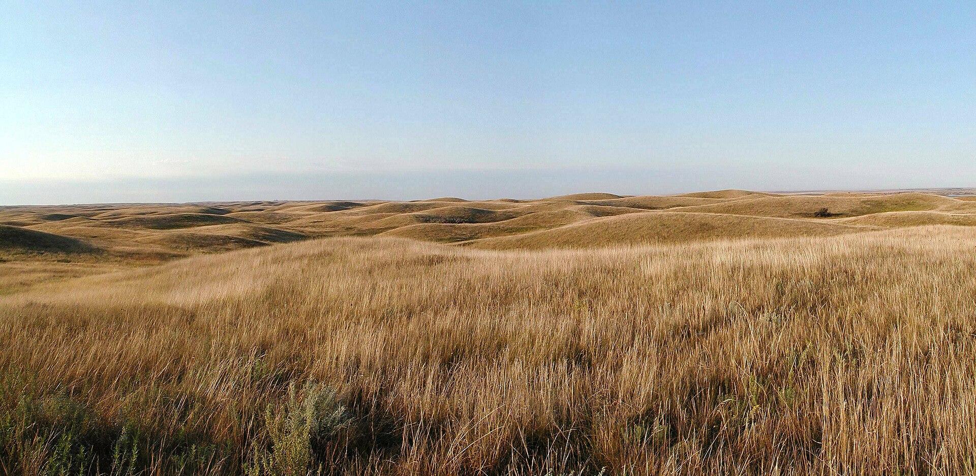 North Dakota native prairie, northern Great Plains