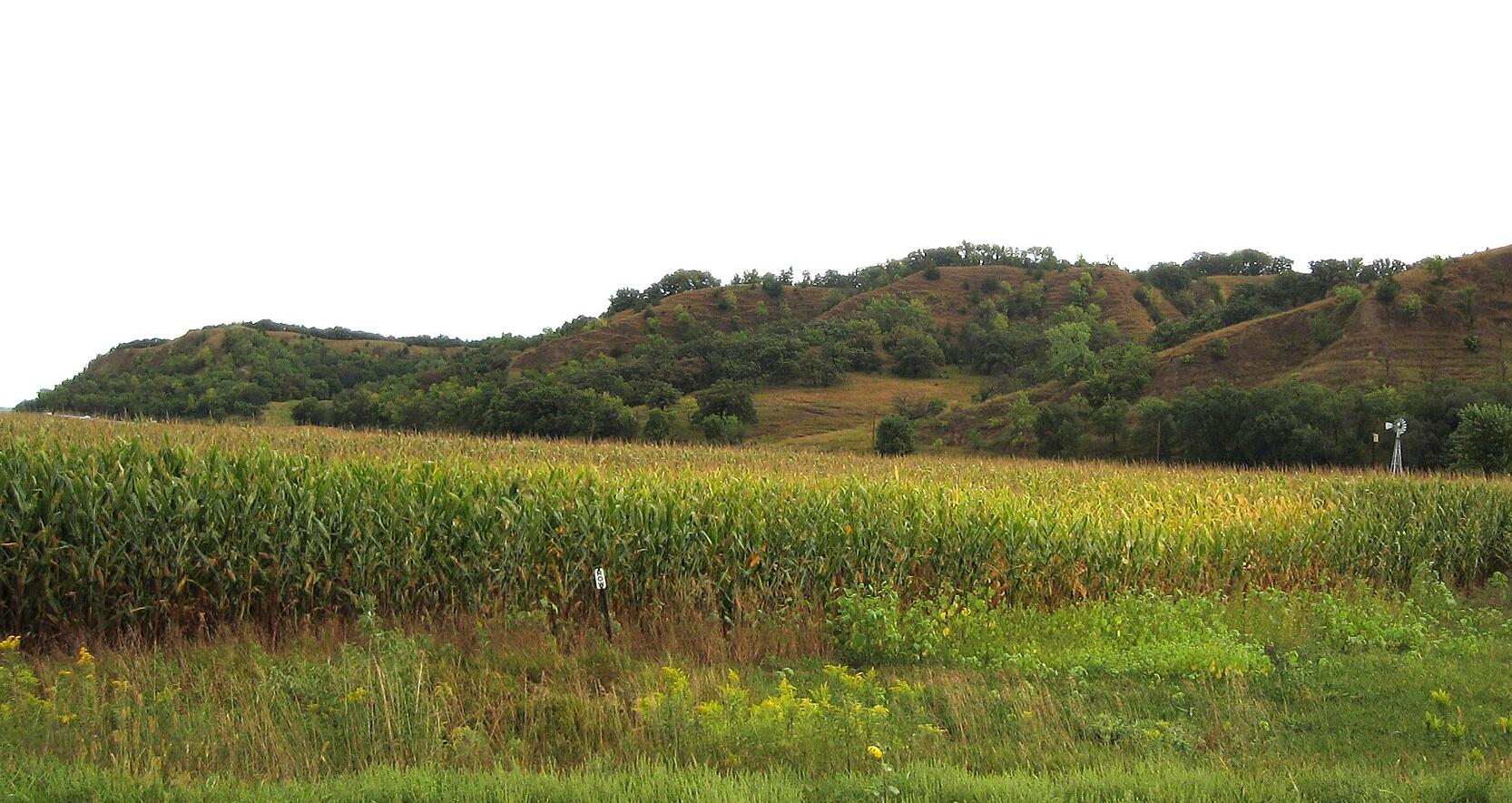 Loess Hills east of Mondamin, Iowa