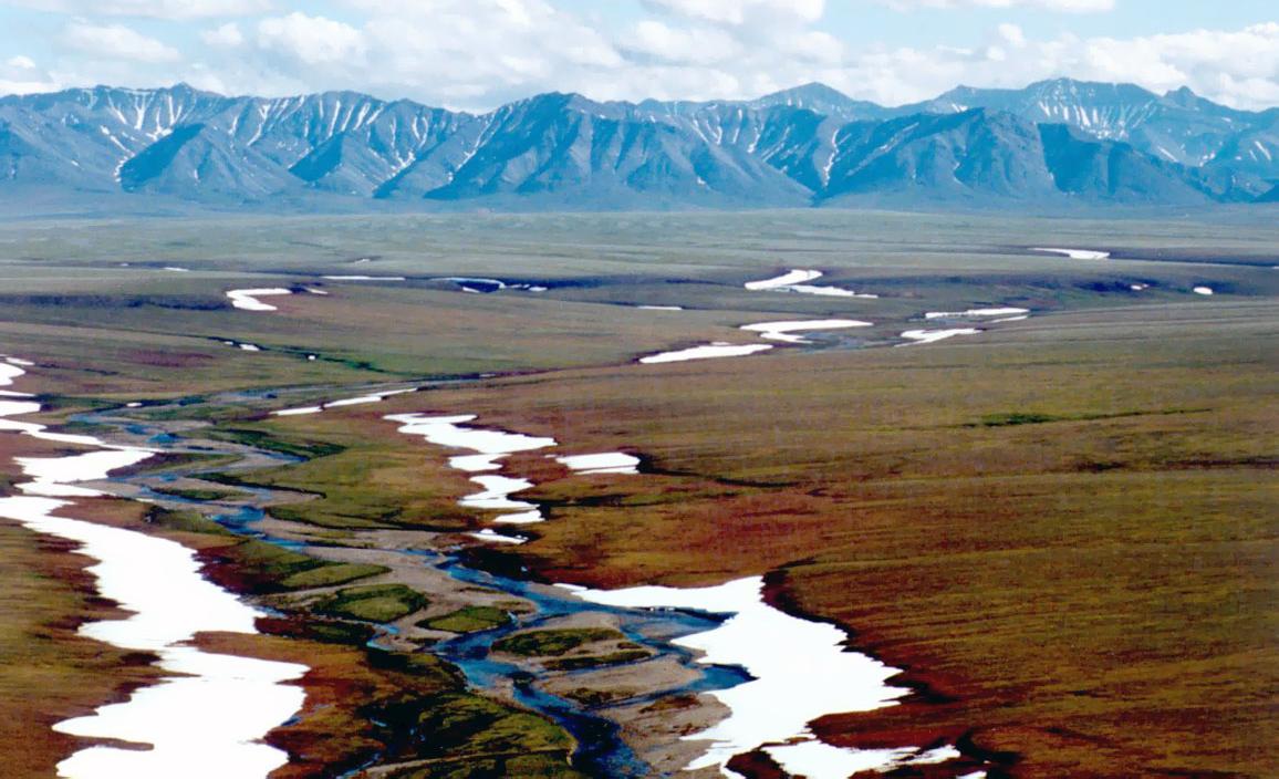 The North Slope of Alaska, looking south towards the Brooks Range