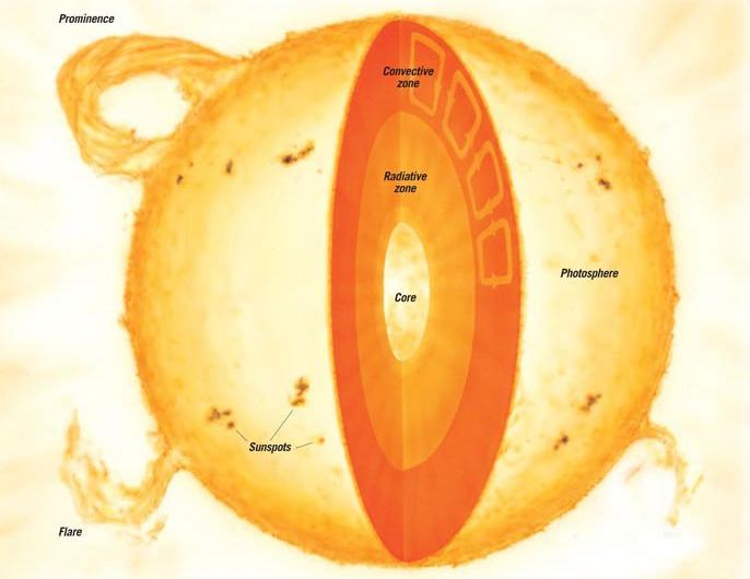 The internal structure of the Sun. From the centre to the edge are the core, the radiative and convective zones, the photosphere and the corona.