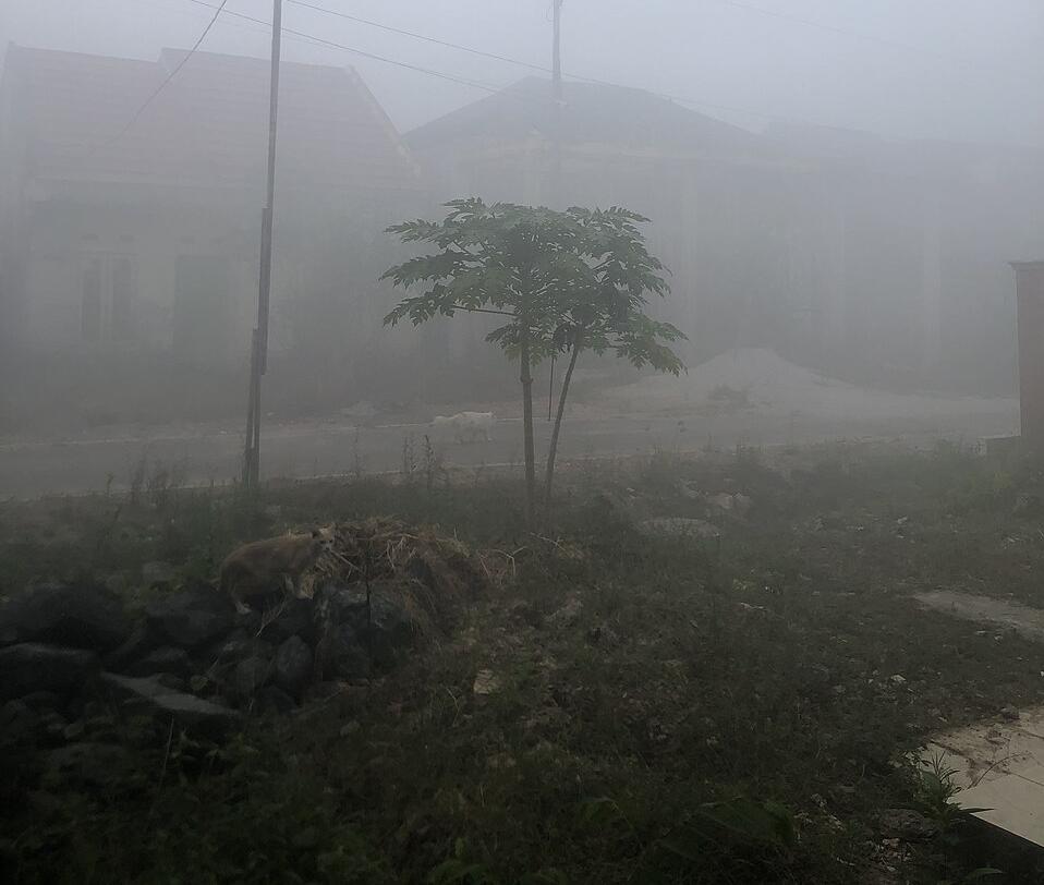 Haze from a forest fire, south Kalimantan, 19th August