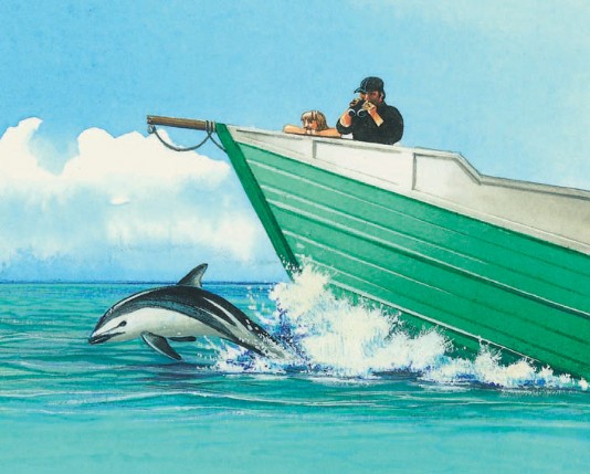 Dolphins bowriding in front of a boat