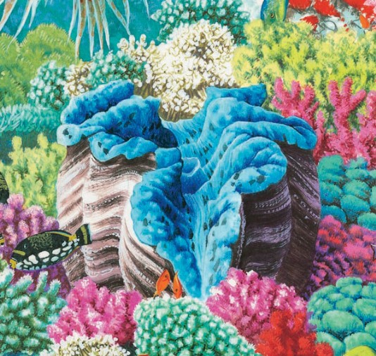 Giant clam, living on a coral reef