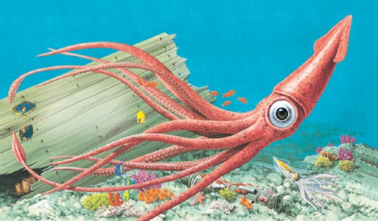 Giant squid