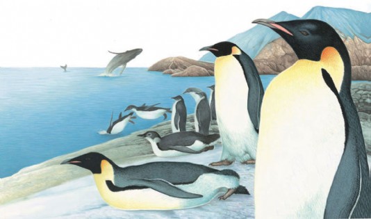 Emperor penguins with young