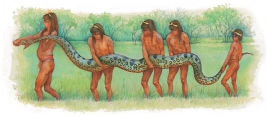 Native people carrying a anaconda they have killed