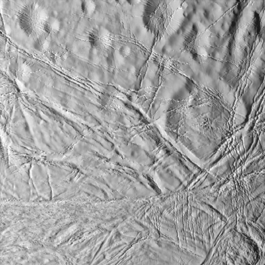 Faults, wrinkles and "soft" craters on Enceladus