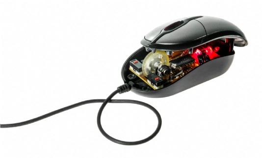 A mouse, showing its internal mechanism