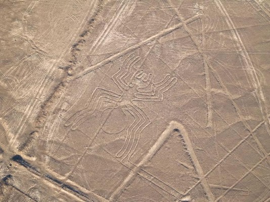 A giant spider and several lines and shapes