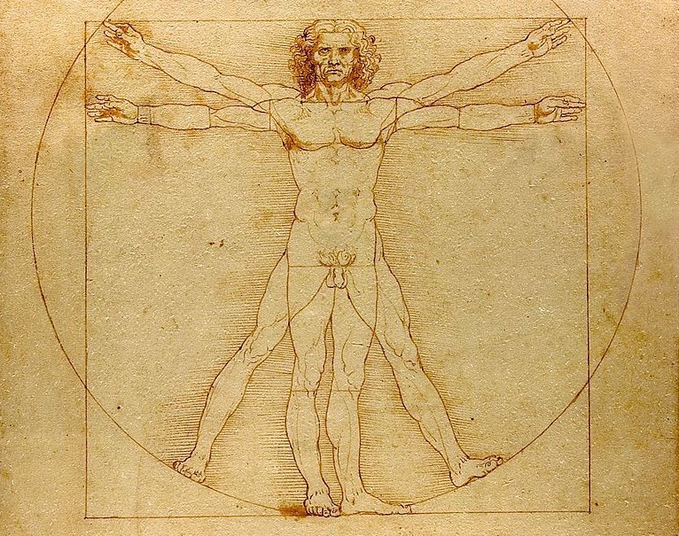 Vitruvian Man by Leonardo
