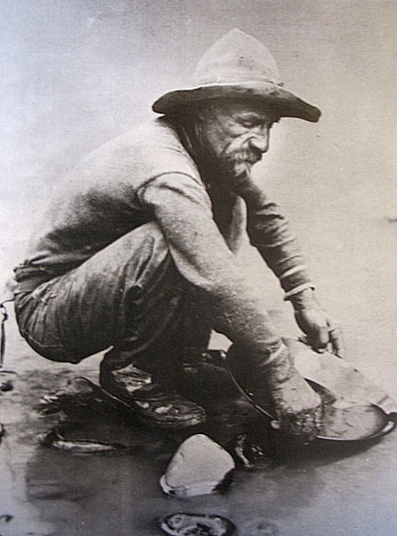 A forty-niner panning for gold