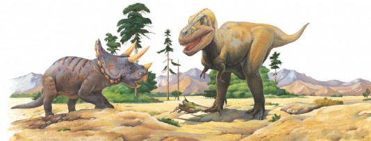Triceratops confronts Tyrannosaurus rex.