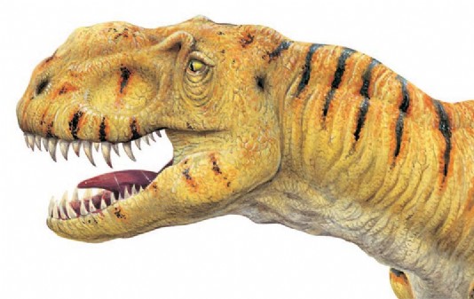Yangchuanosaurus