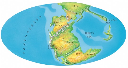 The world in triassic times