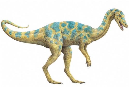 Coelophysis