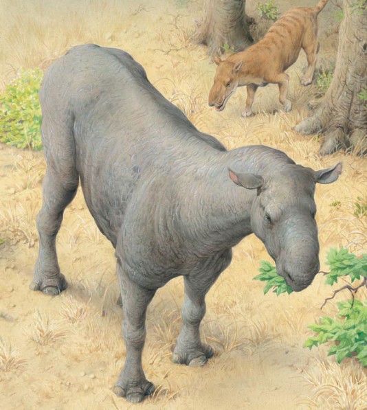 Paraceratherium